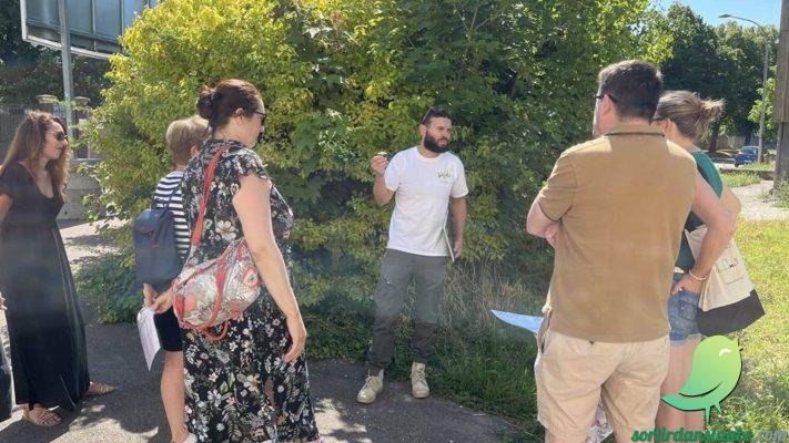 Nature cachée des Maupas | L&rsquo;art est dans le pré - 0