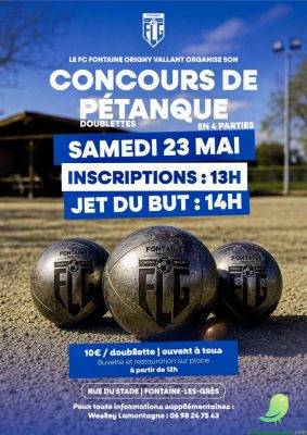 Concours de pétanque - 0