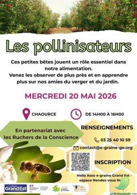 Le pouvoir des pollinisateurs - 0