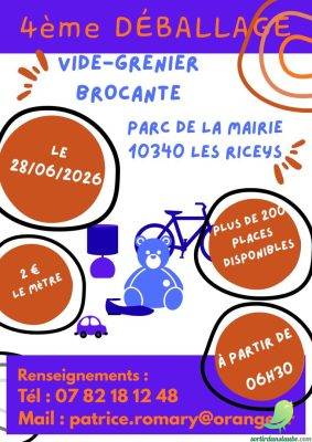 Vide grenier brocante: Les Riceys - 0