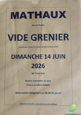 Vide grenier: Mathaux - 0