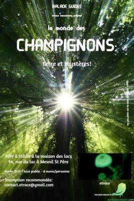 LE MONDE DES CHAMPIGNONS : terre et mystères ! - 0