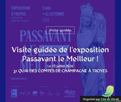 Visite guidée de l&rsquo;exposition Passavant le Meilleur ! - 0
