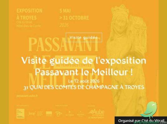 Visite guidée de l&rsquo;exposition Passavant le Meilleur ! - 0