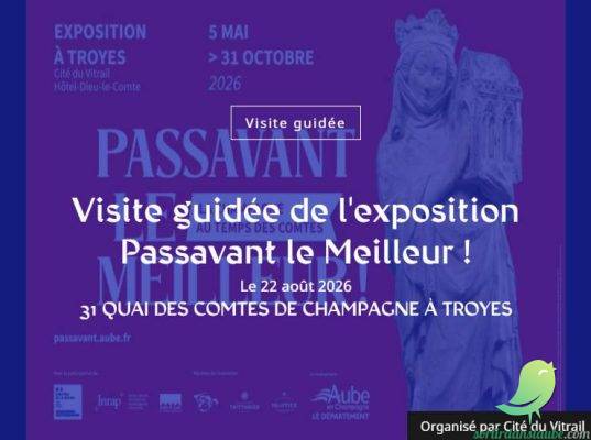 Visite guidée de l&rsquo;exposition Passavant le Meilleur ! - 0