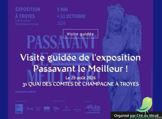 Visite guidée de l&rsquo;exposition Passavant le Meilleur ! - 0