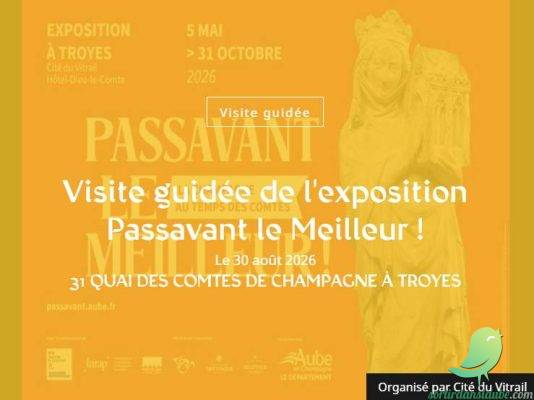 Visite guidée de l&rsquo;exposition Passavant le Meilleur ! - 0