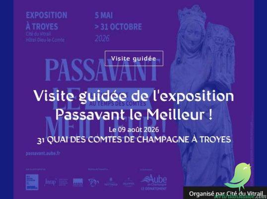 Visite guidée de l&rsquo;exposition Passavant le Meilleur ! - 0