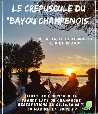 Le crépuscule du Bayou champenois - 0