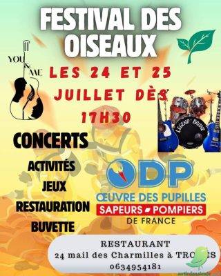 Festival des oiseaux - 0