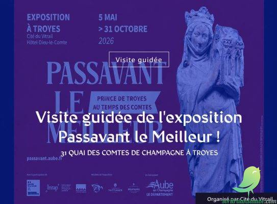 Visite guidée de l&rsquo;exposition Passavant le Meilleur ! - 0