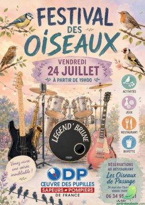 Festival des oiseaux - 1