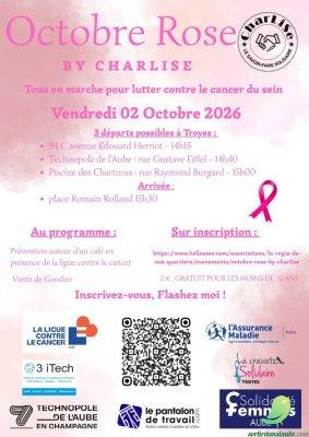 Octobre Rose By CharLiSe - 0