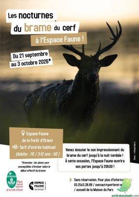 Nocturnes du brame à l’Espace Faune - 0