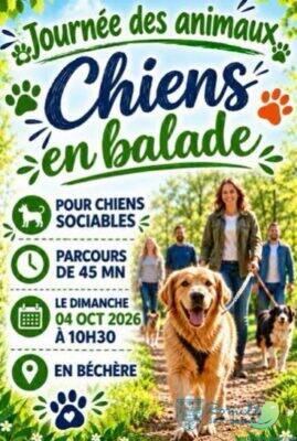 JOURNÉE DES ANIMAUX : CHIENS EN BALADE ! - 0