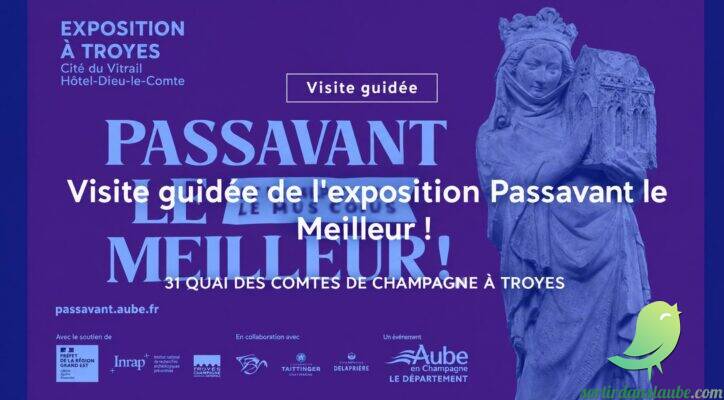 Visite guidée de l&rsquo;exposition Passavant le Meilleur ! - 0