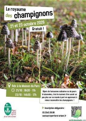 Le royaume des champignons : voyage au cœur de la nature sauvage - 0