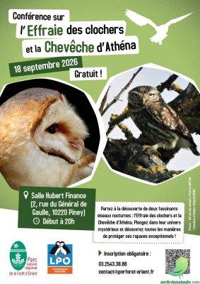 Conférence sur la chouette Effraie et la Chevêche d’Athéna - 0