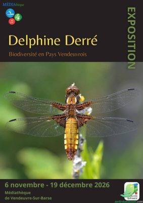 Exposition Delphine Derré : Biodiversité en Pays Vendeuvrois - 0