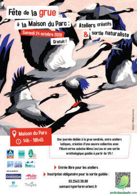 Fête de la grue à la Maison du Parc : Ateliers créatifs & sortie naturaliste - 0