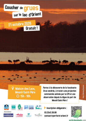 Coucher de grues sur le lac d’Orient - 0