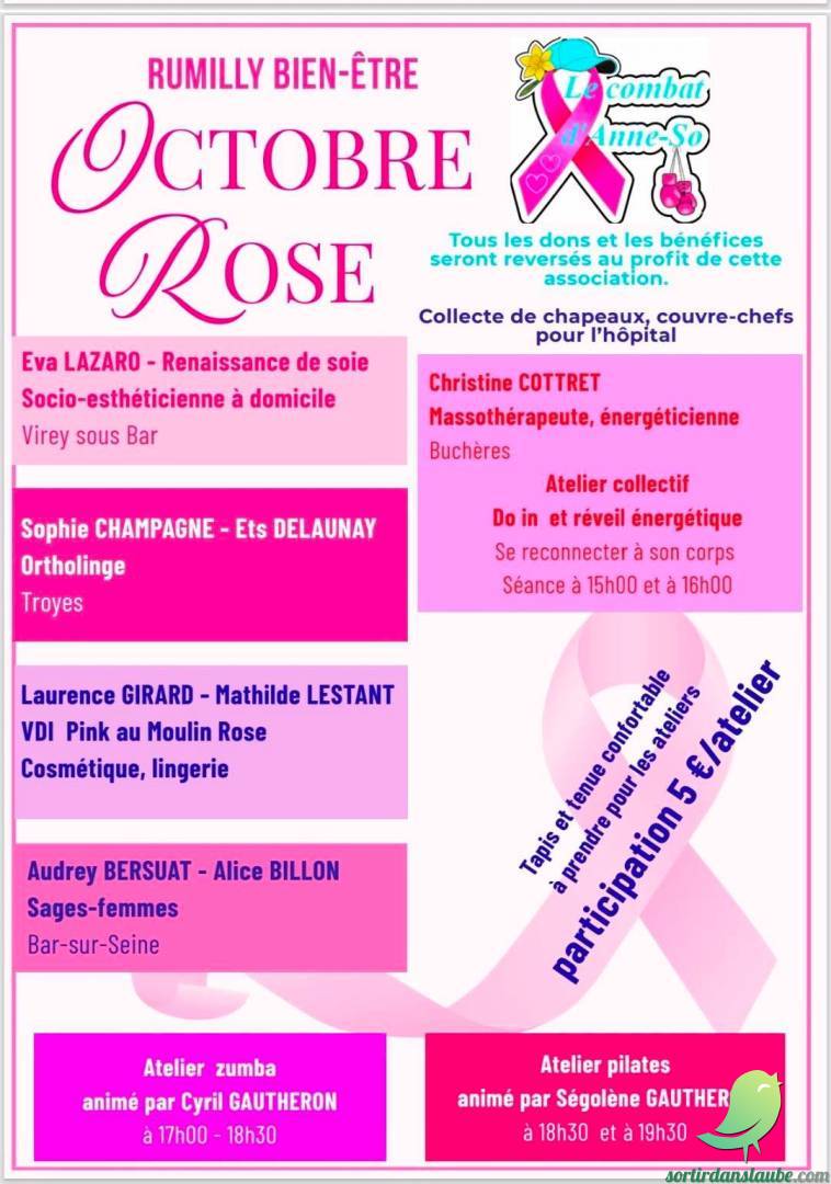Octobre Rose: Rumilly - 1