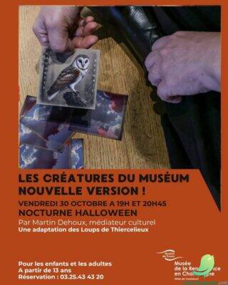Les vacances aux musées - 3