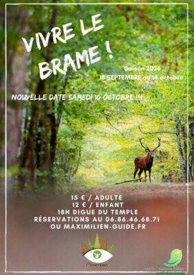 Vivre le brame du Cerf - 0