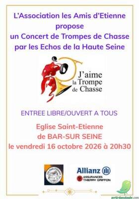 Concert de trompes de chasse - 0