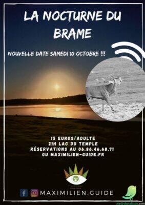 Les nocturnes du Brame - 0