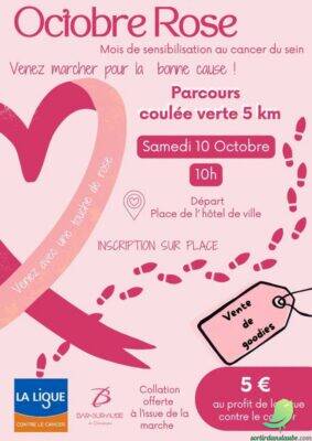 Marche pour Octobre Rose - 0